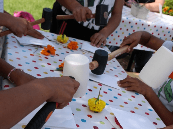 Workshop Pflanzenfarben