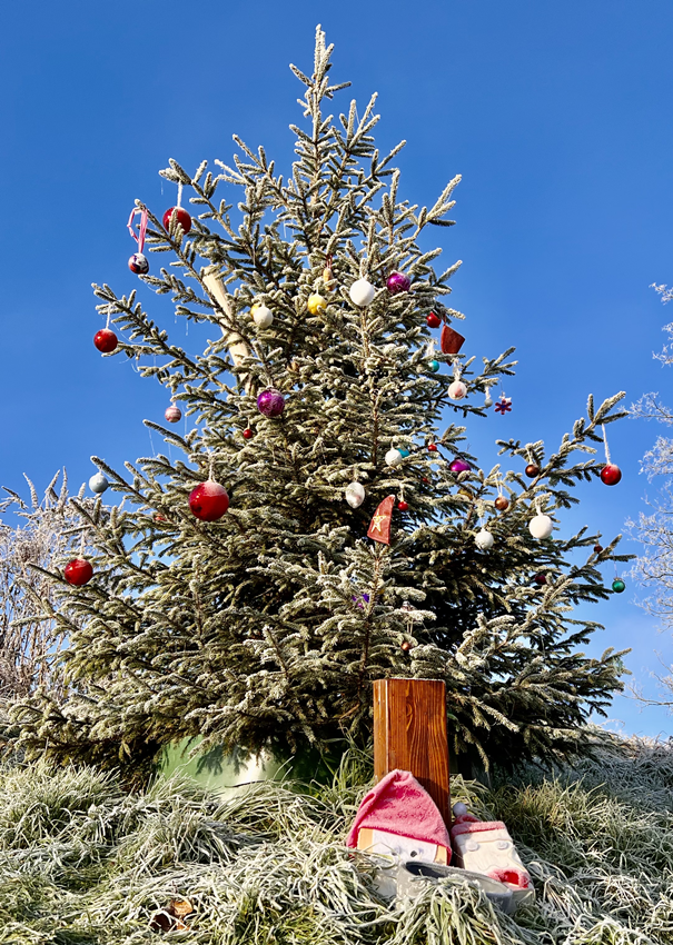 Dezember Impression 1