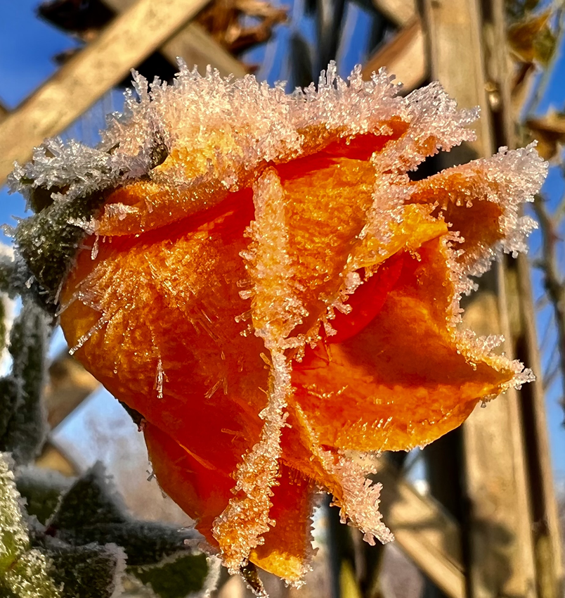 Dezember Impression 3