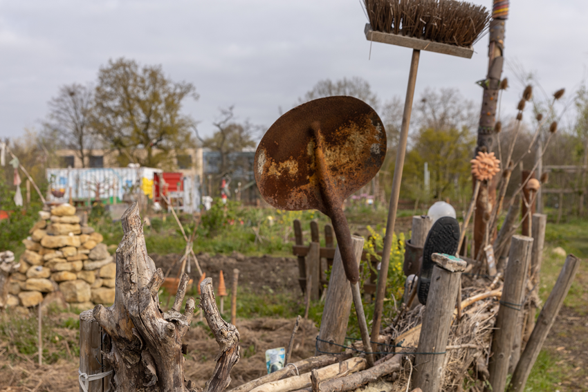 Frühjahr Impression 12