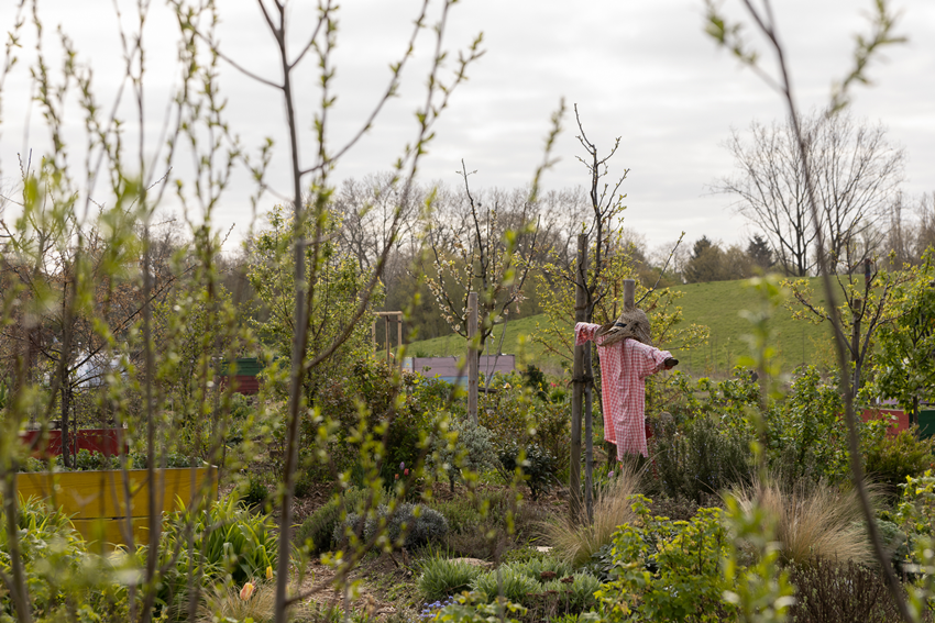 Frühjahr Impression 13