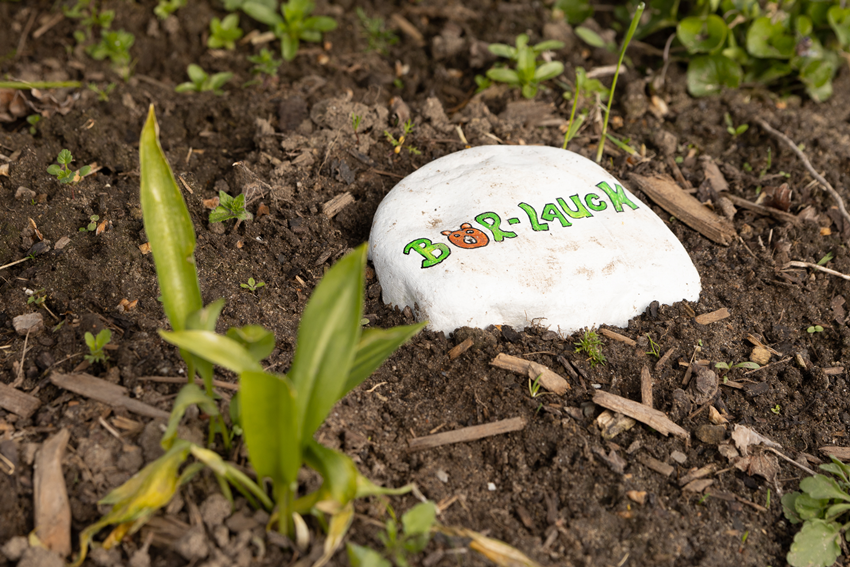 Frühjahr Impression 14