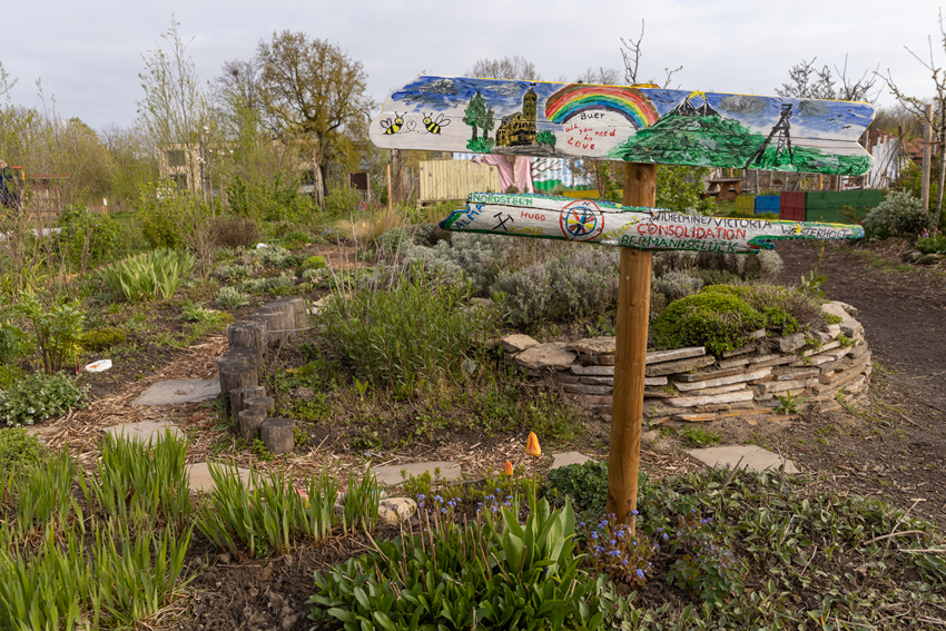 Frühjahr Impression 15