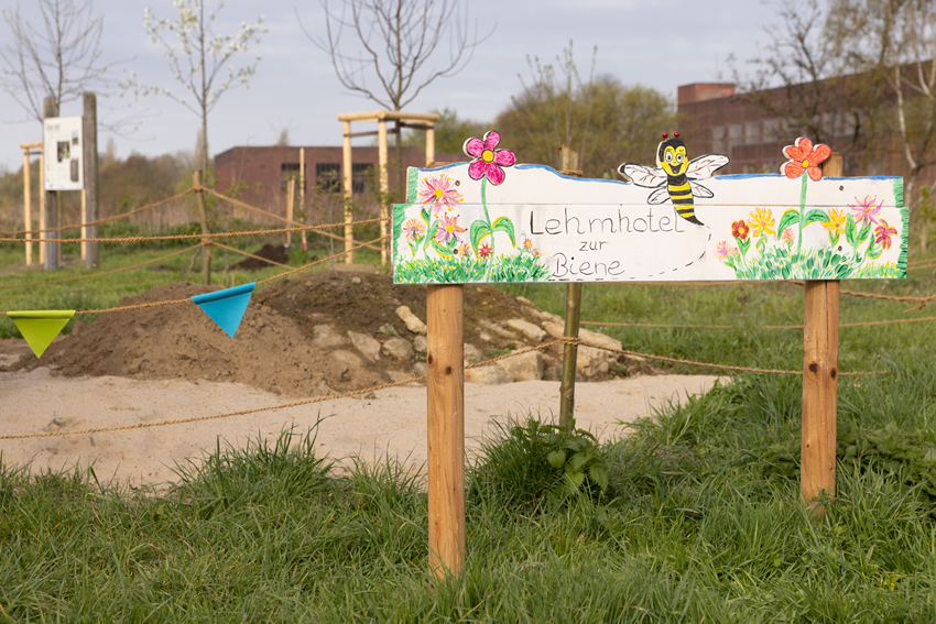 Frühjahr Impression 17