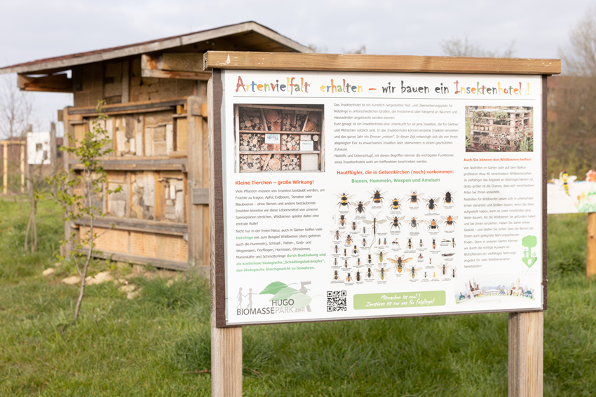 Frühjahr Impression 18