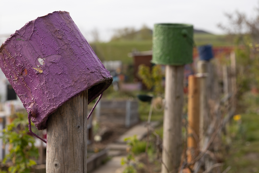 Frühjahr Impression 2