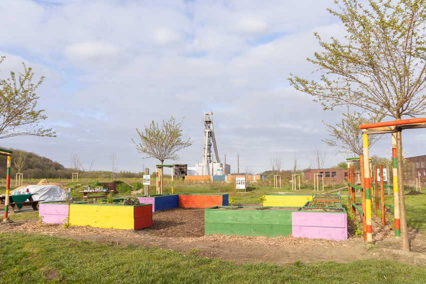 Frühjahr Impression 20