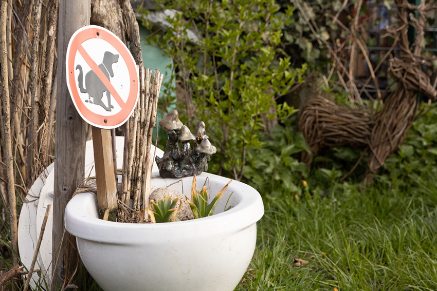 Frühjahr Impression 21