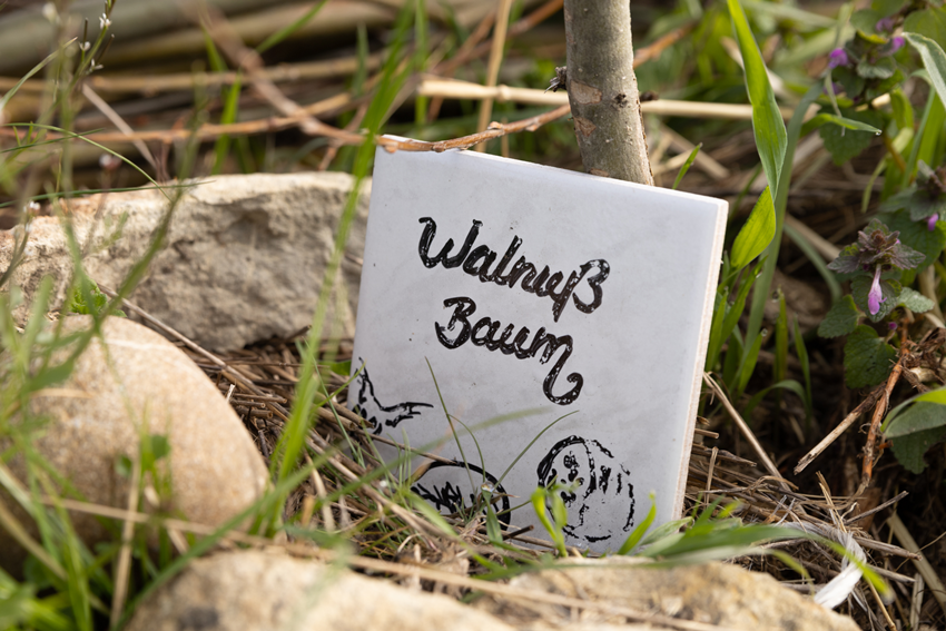 Frühjahr Impression 24