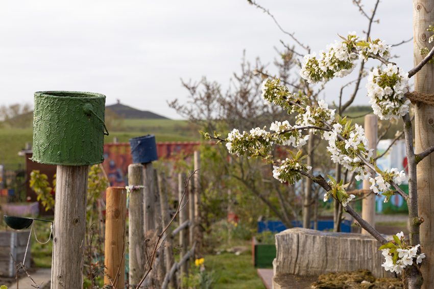 Frühjahr Impression 3