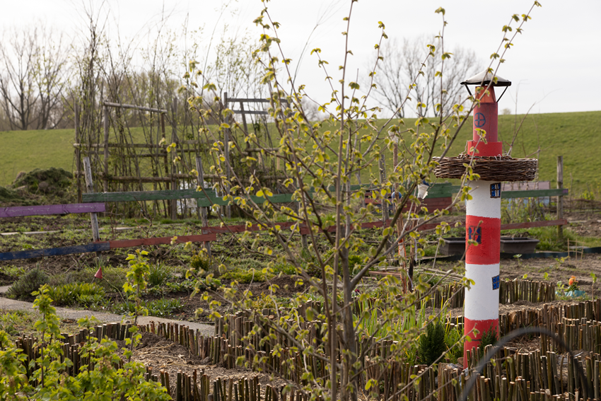 Frühjahr Impression 8