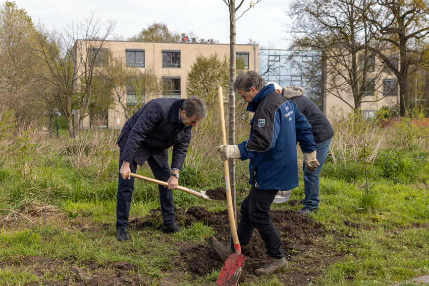 Baumpflanzaktion Impression 5