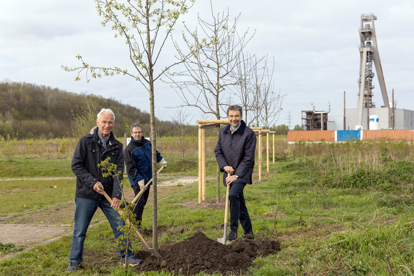 Baumpflanzaktion Impression 6