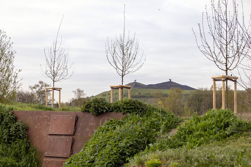 Baumpflanzaktion Impression 9