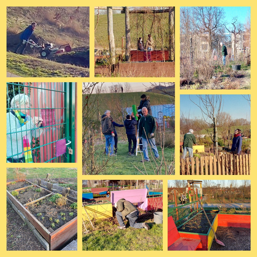 Im Märzen wird nicht nur der Bauer - nein, auch die Gärtner werden aktiv.