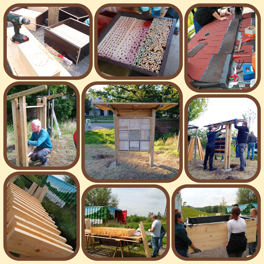 ... und die Auszubildenden der VB Ruhr Mitte haben mit uns ein Insektenhotel gebaut, Holz lasiert und ein Hochbeet gebaut, dass ein marodes Hochbeet am Krötenteich ersetzt. Vielen Dank für die tatkräftige Hilfe.