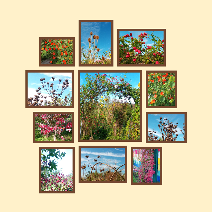 Im Oktober begrüßen wir den Herbst in seiner farbenfrohen Pracht, ...