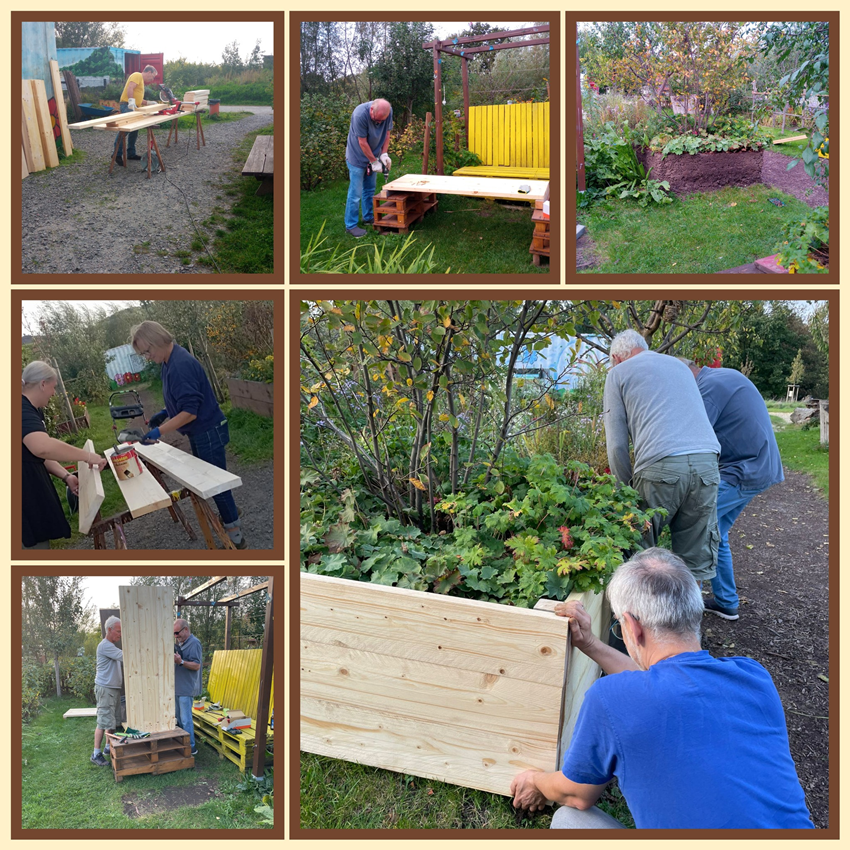 ... und bei dem schönen sonnigen Herbstwetter ist mit guter Laune viel geschafft worden. Vor allem wurde ein weiteres Hochbeet erneuert.